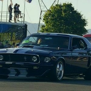 Meet your Posher, Tammy